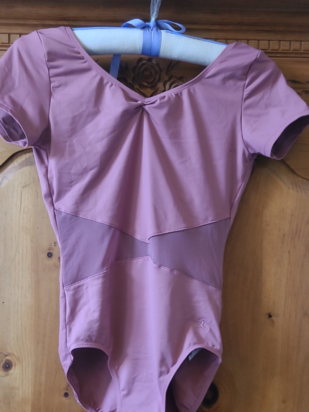 Danskin Mauve Pink Short Sleeve Leotard
